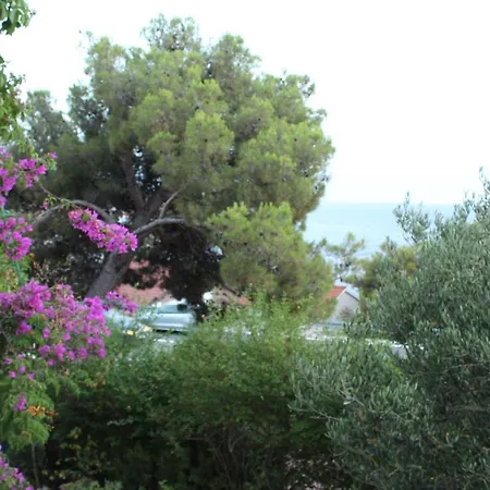 Milisa L Apartment